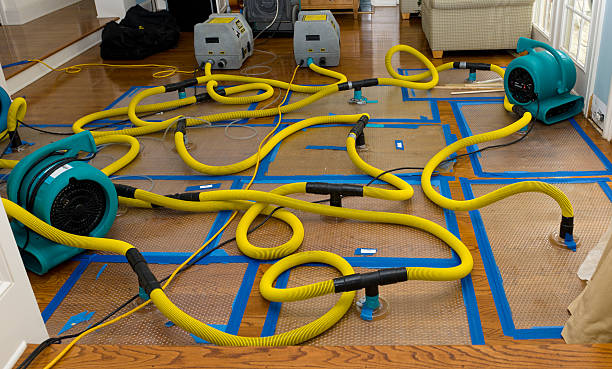 Professional Storm Water Damage Restoration technician working in Michie, TN